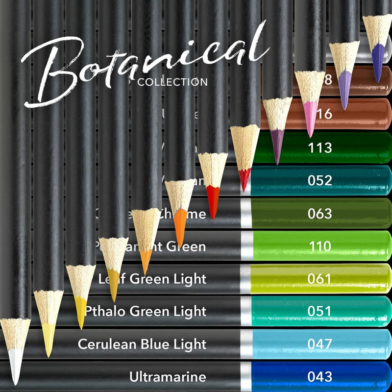 Castle Arts Botanical coloured pencil set 24 piece tin, product photo 2