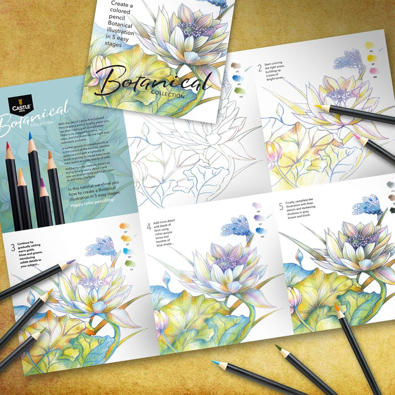 Castle Arts Botanical coloured pencil set 24 piece tin, product photo 5